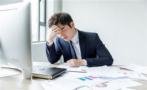 上海人力資源管理師培訓全方位指南 機構選擇、費用解析與備考策略