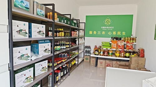 阿克塞供銷社變身幸福驛站 農(nóng)牧民直呼離不開(kāi)